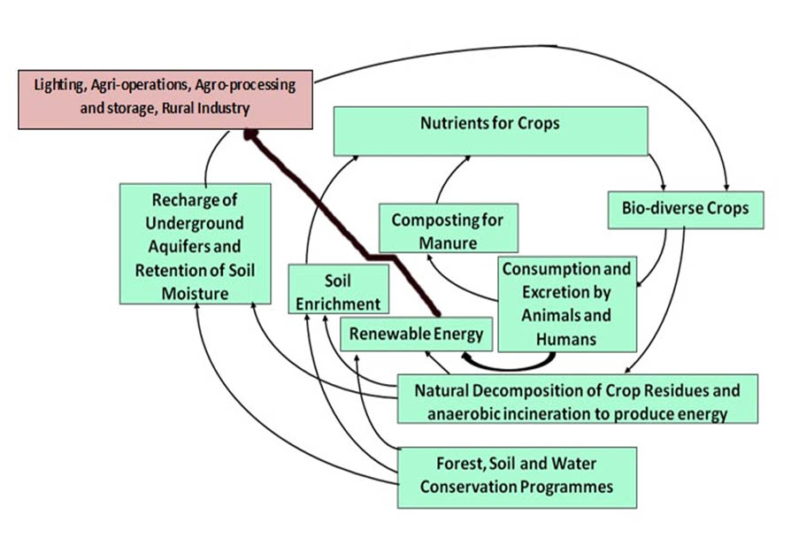 Sustainable Agriculture Graphic second